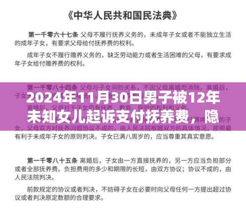 男子隐匿十二年父爱归位，面临抚养费等家庭纷争终极挑战事件回顾