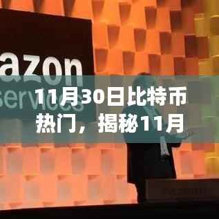 揭秘比特币热潮,趋势、影响与未来展望(11月30日热点分析)