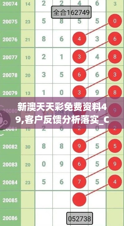 新澳天天彩免费资料49,客户反馈分析落实_C版46.827-1