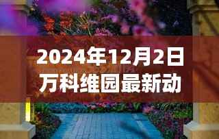 万科维园新篇章,探索自然美景,启程心灵宁静之旅(2024年12月2日动态更新)