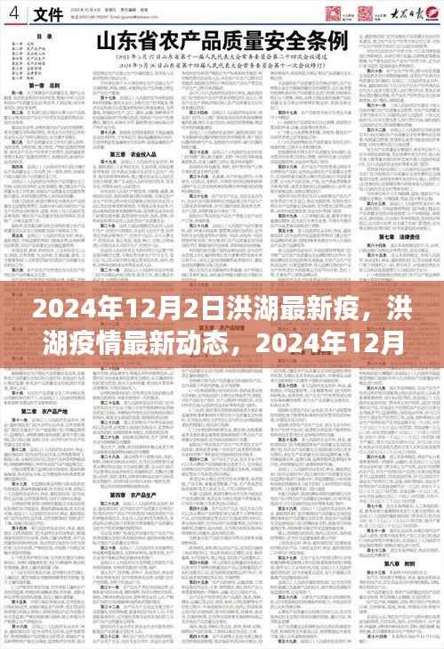 洪湖疫情最新动态,历史性转折与最新进展(2024年12月)