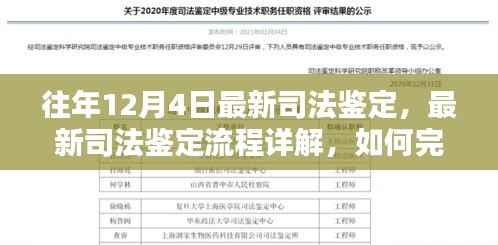 往年12月4日最新司法鉴定详解及流程指南,如何高效完成司法鉴定任务?