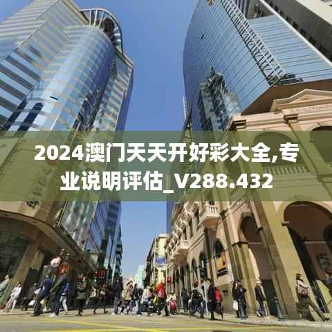 2024澳门天天开好彩大全,专业说明评估_V288.432