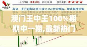 澳门王中王100%期期中一期,最新热门解答定义_精简版3.776