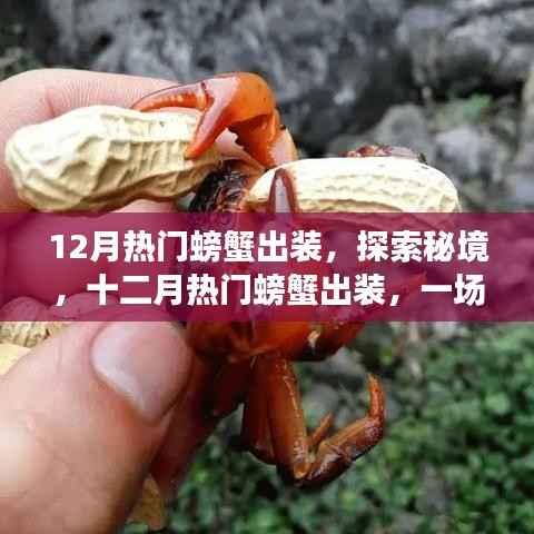 十二月螃蟹出装大热!探索秘境,开启平静螃蟹旅行记