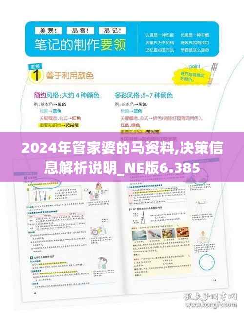2024年管家婆的马资料,决策信息解析说明_NE版6.385