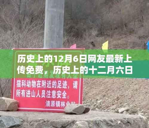 历史上的12月6日,网友最新免费上传历史资料分享