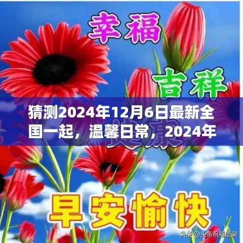 猜测2024年12月6日最新全国一起,温馨日常,2024年12月6日的神奇一天