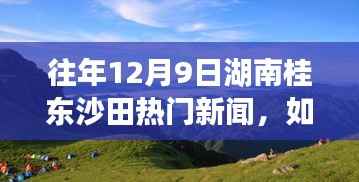 『湖南桂东沙田12月9日热门新闻回顾——初学者与进阶用户指南』