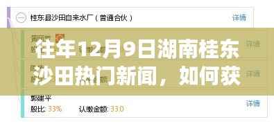 『湖南桂东沙田12月9日热门新闻回顾——初学者与进阶用户指南』