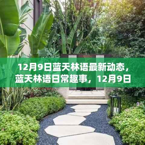 12月9日蓝天林语温馨时光,最新动态与日常趣事