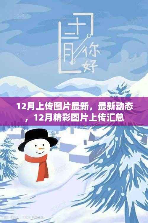 12月精彩图片上传汇总,最新动态与美图汇总