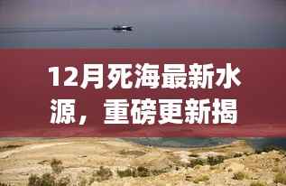 揭秘十二月死海最新水源奇迹,惊艳新发现!