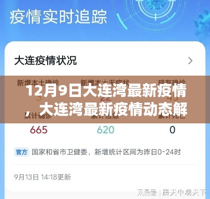 大连湾最新疫情动态解析报告(12月9日版)