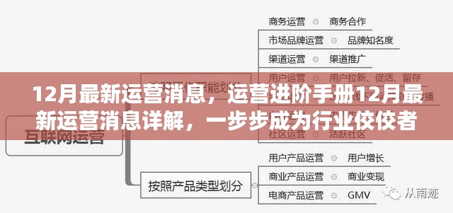 揭秘运营进阶手册,最新消息详解与行业佼佼者之路