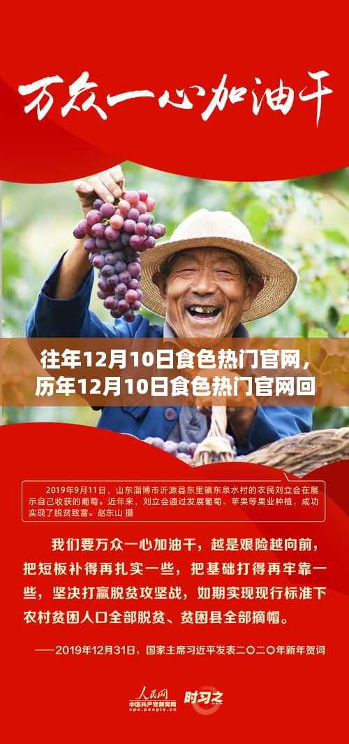 历年12月10日食色热门官网回顾与解析，深度探讨食色风尚变迁的历程