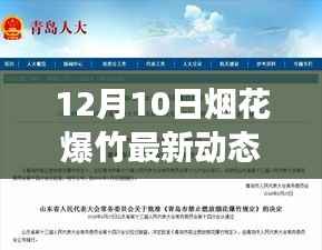 烟花璀璨迎新篇,学习变化带来的自信与成就感,点燃正能量火花——最新动态报道