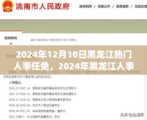 黑龙江人事任免动态深度解读与全面分析(2024年12月版)