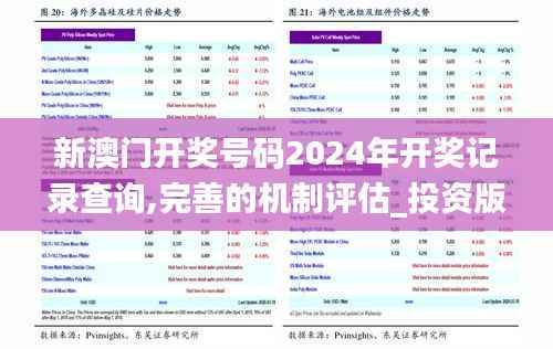 新澳门开奖号码2024年开奖记录查询,完善的机制评估_投资版2.196