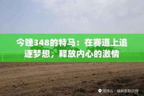 今晚348的特马:在赛道上追逐梦想,释放内心的激情