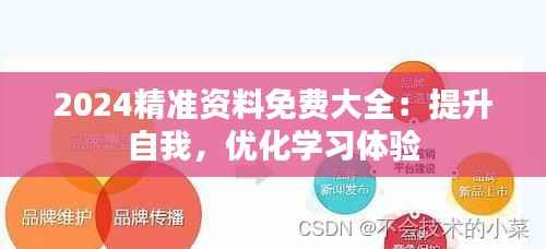 2024精准资料免费大全:提升自我,优化学习体验