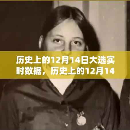 深度解析，历史上的12月14日大选实时数据与幕后解析