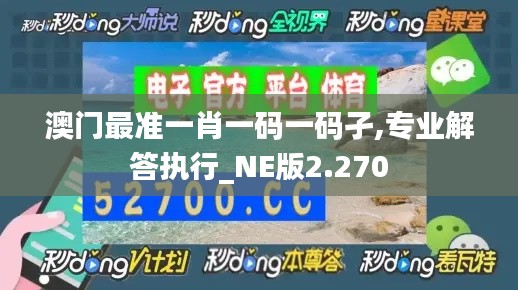 澳门最准一肖一码一码孑,专业解答执行_NE版2.270
