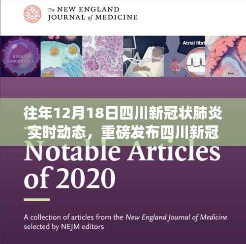 四川新冠状肺炎实时动态监测系统,科技智能引领抗疫未来