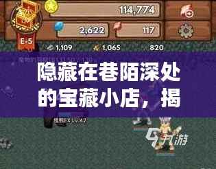 巷陌深处的宝藏小店揭秘,双十一燃爆时刻的历史战报!