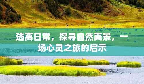 逃离日常喧嚣,探寻自然美景的心灵之旅启示