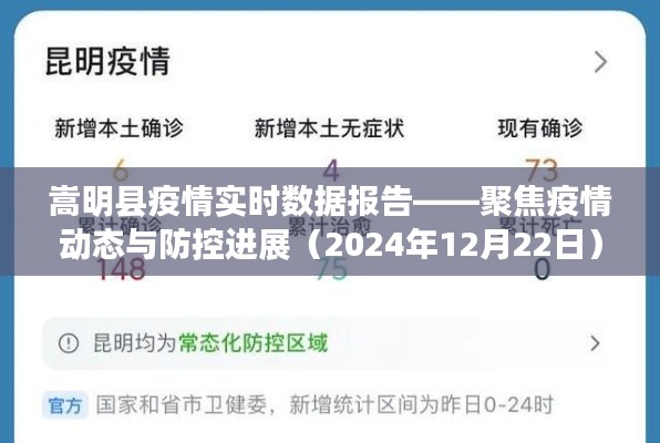 嵩明县疫情实时数据报告(聚焦疫情动态与防控进展)(XXXX年XX月XX日)
