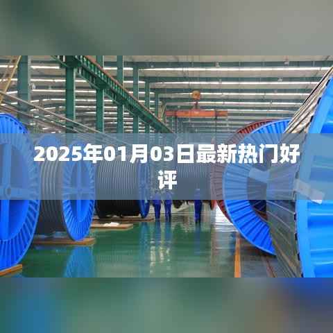 『2025年1月热门好评大揭秘』