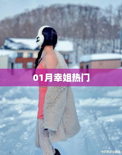 幸姐热门榜单揭秘,一月精选内容