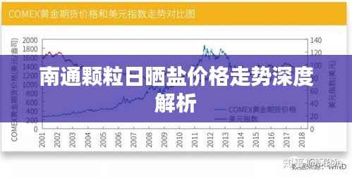 南通颗粒日晒盐价格走势深度解析