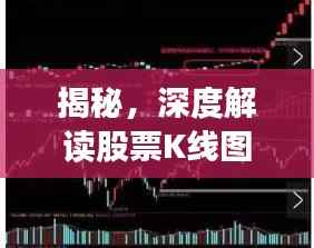 新闻动态 第253页