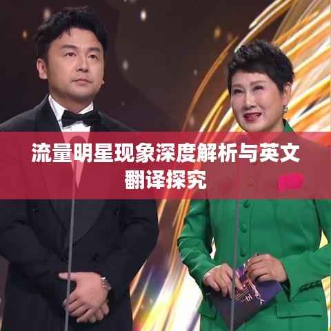 流量明星现象深度解析与英文翻译探究