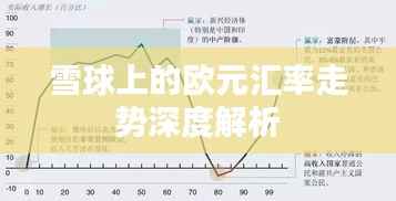 雪球上的欧元汇率走势深度解析