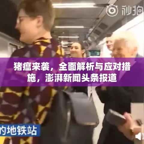 猪瘟来袭,全面解析与应对措施,澎湃新闻头条报道