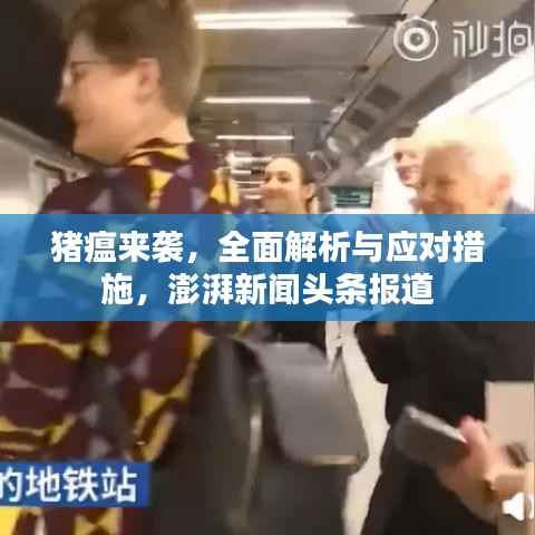 猪瘟来袭,全面解析与应对措施,澎湃新闻头条报道