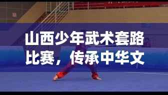 山西少年武术套路比赛,传承中华文化,青春力量闪耀