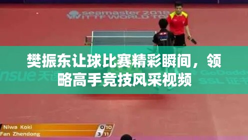 樊振东让球比赛精彩瞬间,领略高手竞技风采视频
