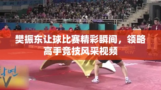 樊振东让球比赛精彩瞬间,领略高手竞技风采视频