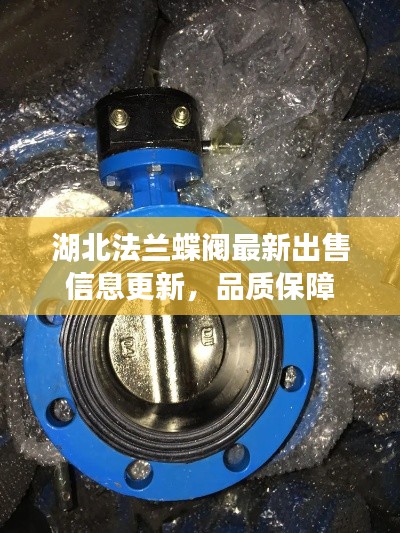 湖北法兰蝶阀最新出售信息更新,品质保障