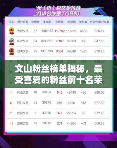 文山粉丝榜单揭秘,最受喜爱的粉丝前十名荣耀揭晓