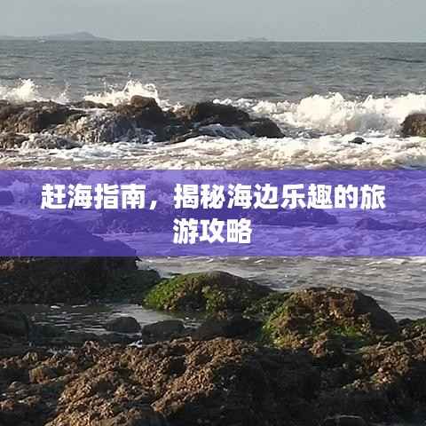 赶海指南，揭秘海边乐趣的旅游攻略