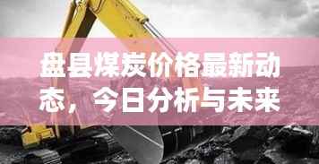 盘县煤炭价格最新动态,今日分析与未来展望
