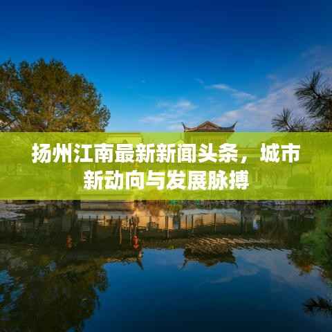 新闻动态 第159页