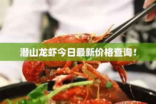 新闻动态 第152页