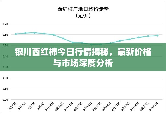 银川西红柿今日行情揭秘,最新价格与市场深度分析