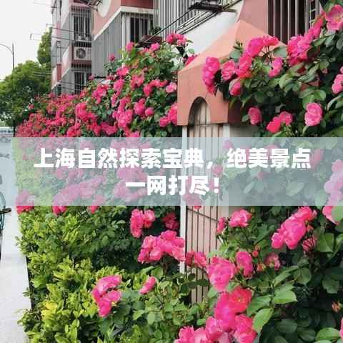 上海自然探索宝典,绝美景点一网打尽!